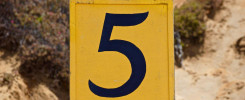 Five. 5. tonythetigersson, Tony Andrews Photography number 5