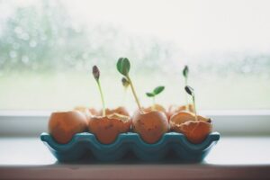 Mennyit fejlődhetsz fél napos tanácsadással?