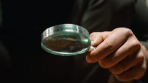 Négy alapvető vásárlói csoport