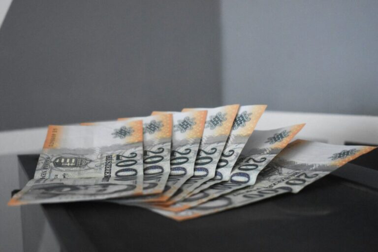 Így veszítik el a vállalkozók a bevételüket Hungarian Forint in cash
