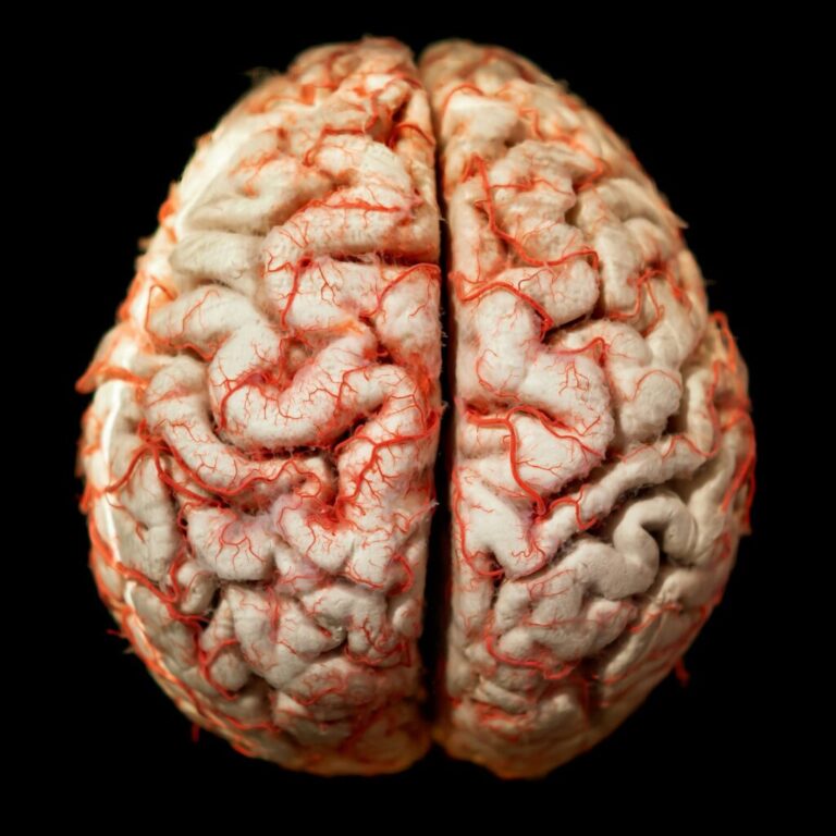 Neuralink: forradalom vagy veszély? Human brain closeup