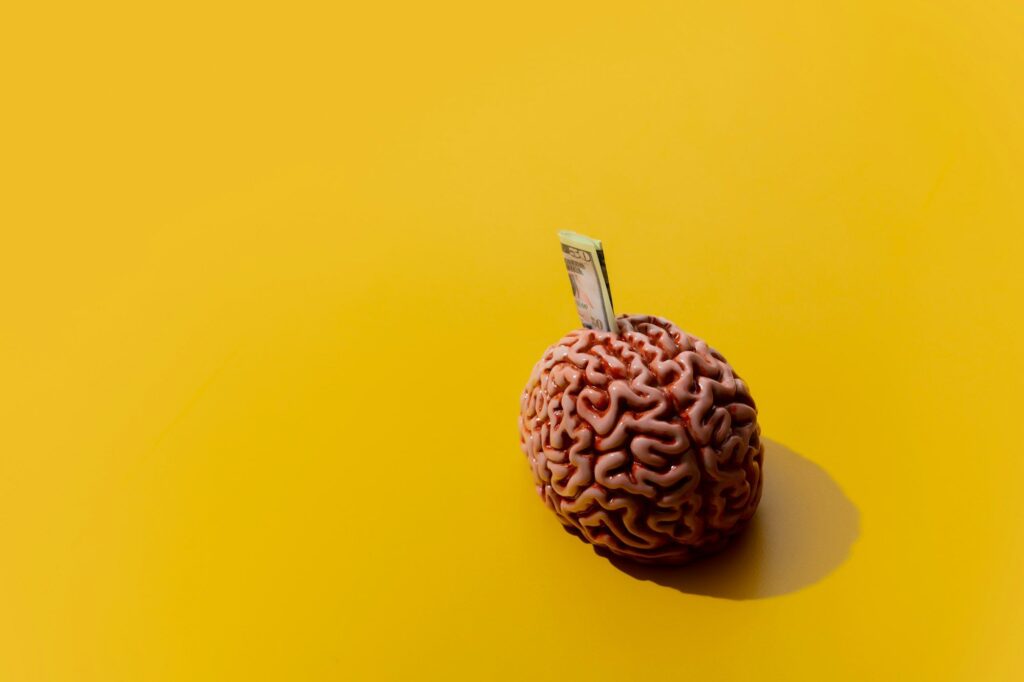 Money in brain on yellow background. Side view