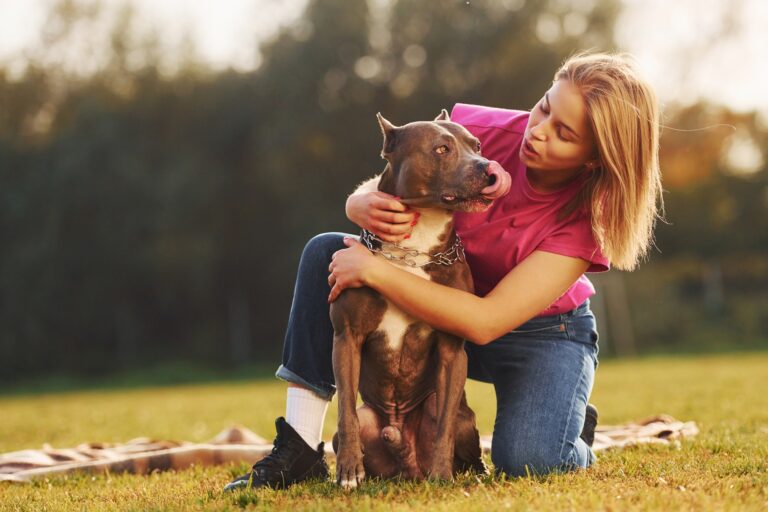 Friendship between human and animal. Woman in casual clothes is with pit bull outdoors