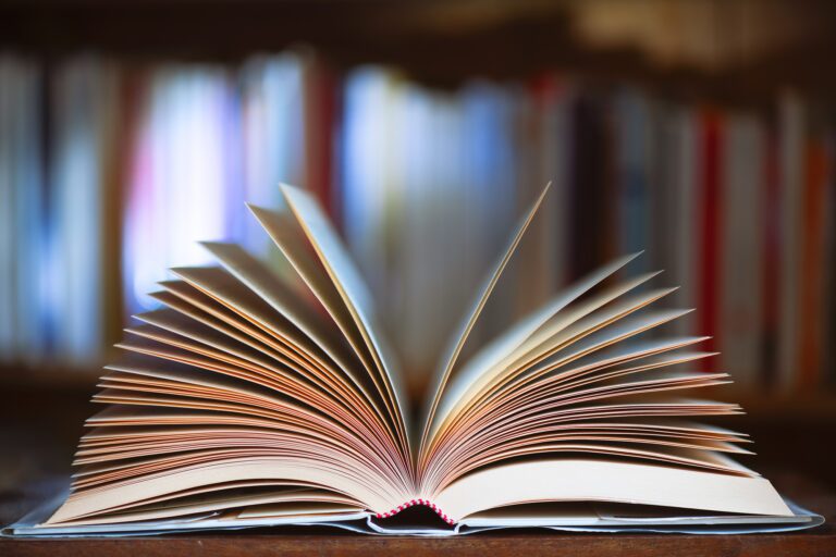 Michael Chavez – Sudhanshu Palsule – Emberközeli vezetés Open book