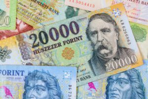 Assortment of Hungarian forints, providing a detailed view of their different face values.