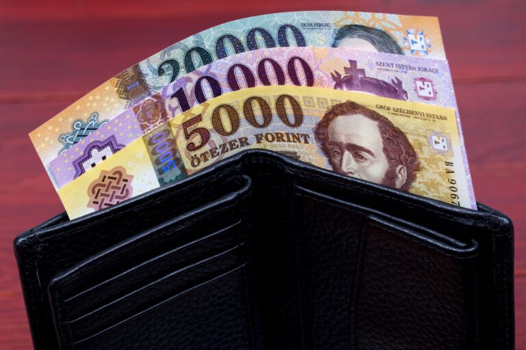 Hungarian money in the black wallet