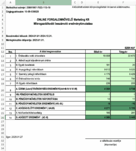 Mikrogazdálkodói beszámoló eredménykimutatás