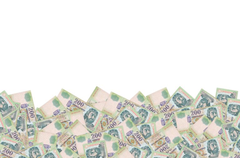 Miért nélkülözhetetlen a tőkeszükséglet tervezése? King Robert Portrait on Hungary 1000 Forint 2006 Banknote close up