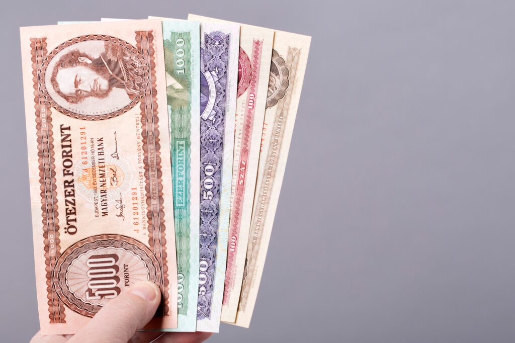 Old Hungarian money on a gray background