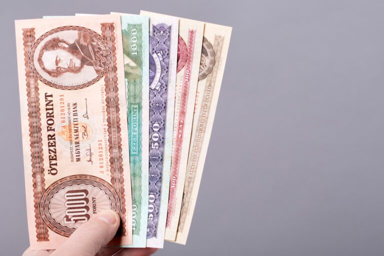 Old Hungarian money on a gray background