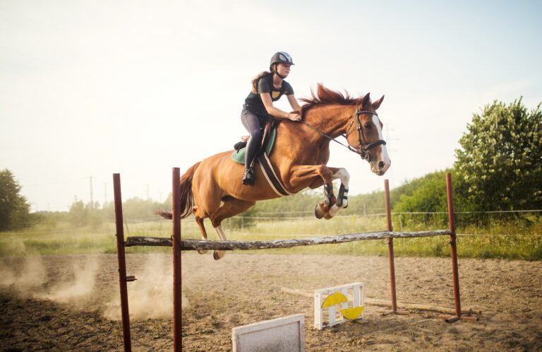 Bevezetés a kormányzati beavatkozások világába Young female jockey on horse leaping over hurdle