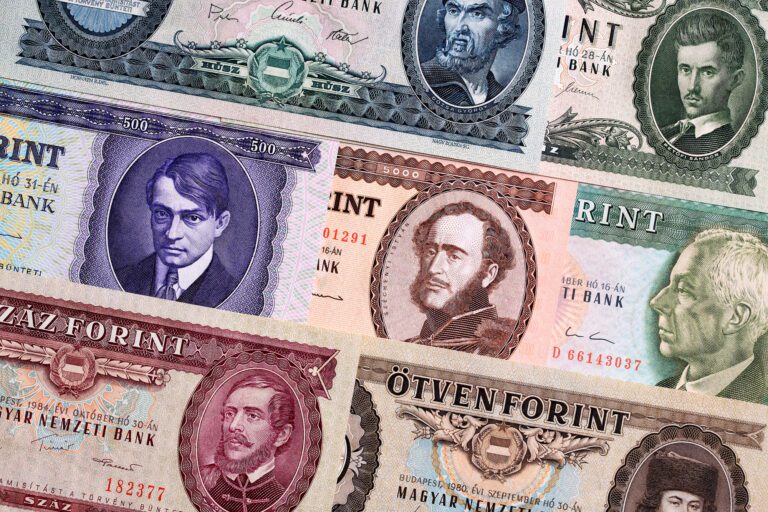 Magasabbnak érezzük az inflációt, mint amit a KSH mutat Hungarian Forint, a background